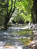 El Valle, Chorro Las Mosas