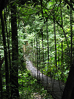 El Valle, Chorro El Macho