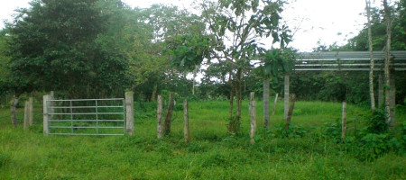 Different Titled Lots in Las Lajas, Chiriqui Different Titled Lots in Las Lajas, Chiriqui