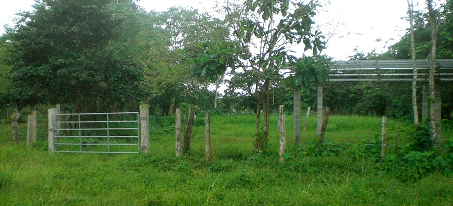 Different Titled Lots in Las Lajas, Chiriqui Different Titled Lots in Las Lajas, Chiriqui
