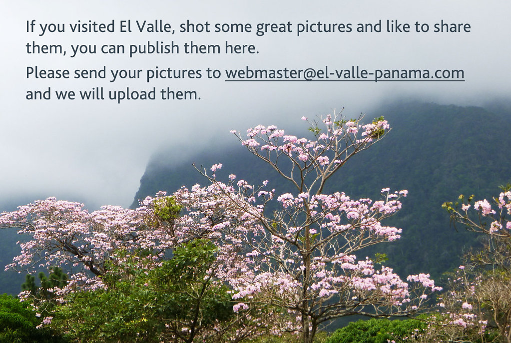 Please send your pictures to <a href="mailto:webmaster@el-valle-panama.com">webmaster@el-valle-panama.com</a>