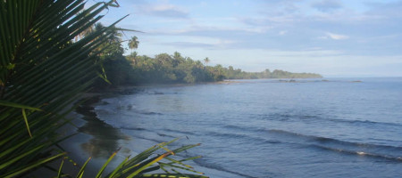 Caribbean Beach & Eco Resort in Tropical Paradise