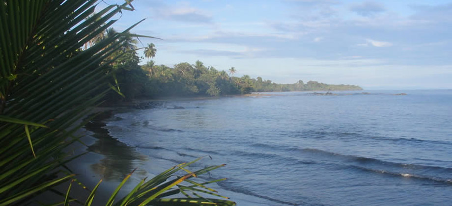 Caribbean Beach & Eco Resort in Tropical Paradise